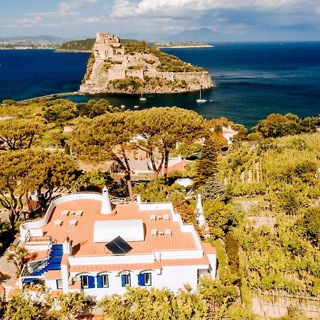 Villa Livia Ischia Zewnętrze zdjęcie